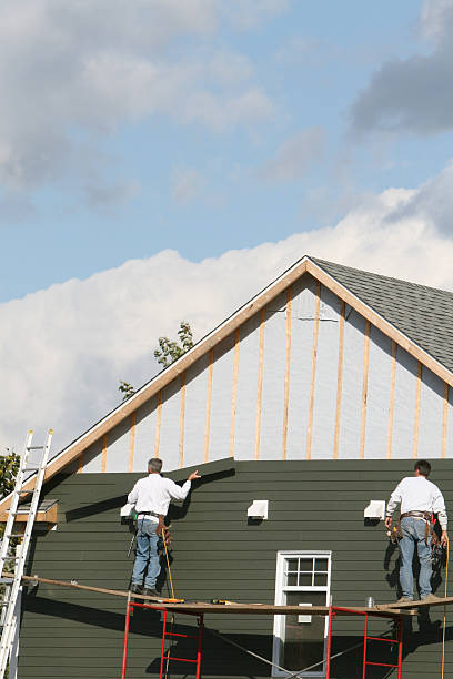 Best Stone Veneer Siding  in Santa Anna, TX